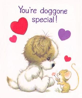 VDDoggone Special