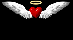 VDHeart Wings