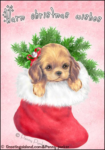 Warm Christmas Wishes