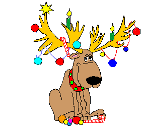 Christmas Ani Rein Deer
