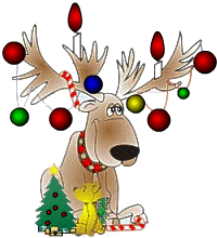 Christmas Rein Deer Bear