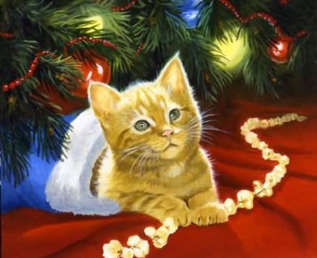 Yellow Kitten Christmas