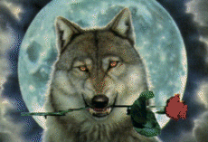 Wolfrose