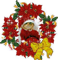 Christmascat