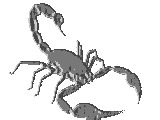 019 a