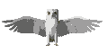 027 a