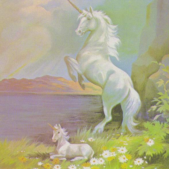 Unicorns (3)