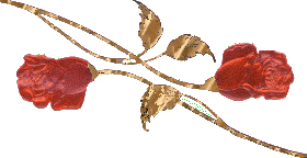 2 Roses (2)