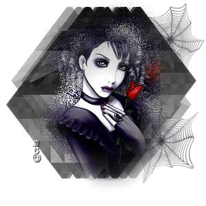 Goth Web Rose