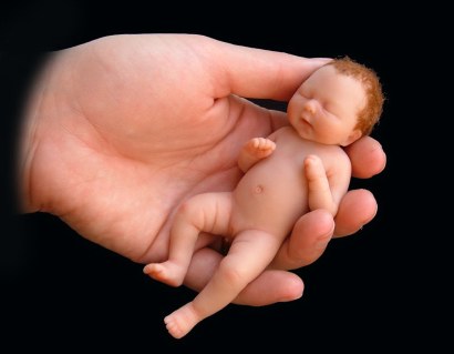 Marzipan Babies 07