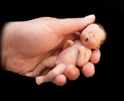 Marzipan Babies 08