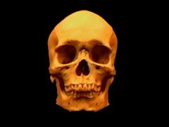 SKULL