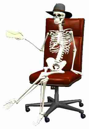 Skeleton Chair