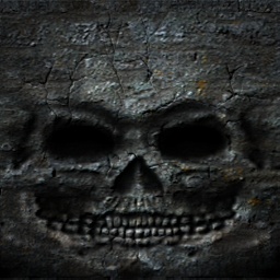 Skull Wall