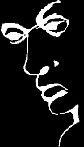 Optical Illusion Face Or Word Liar