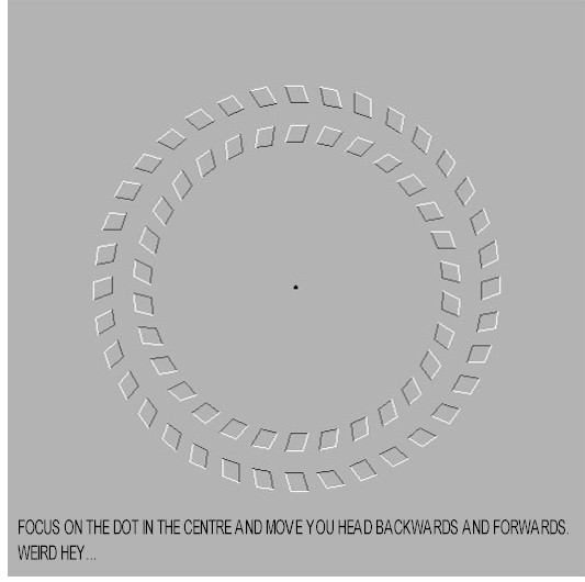 Optical Illusion Focus
