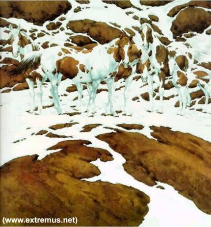 Optical Illusion Pinto Horses
