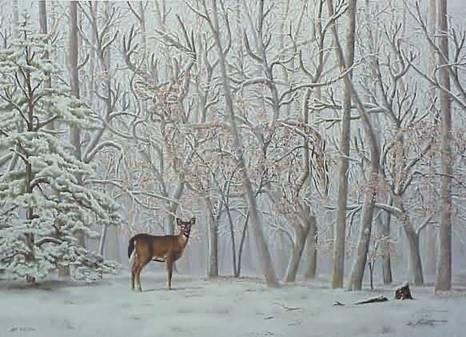 Optical Illusion Tree Deer