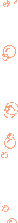 Bubbles Orange