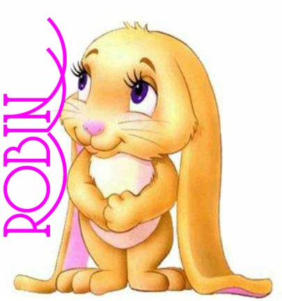 Robin Bunny