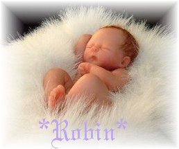 Robins Fur Baby