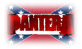 Pantera Flag