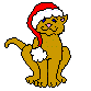 Christmas Cat Wearing Santa Hat