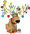 Christmas Rein Deer