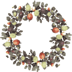 Fruit 3