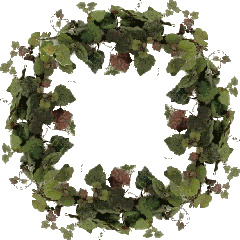 Grapeleaf