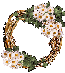 Grapevine 2