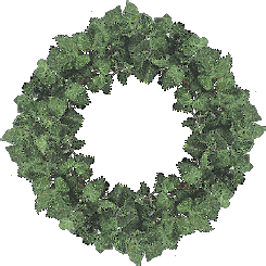 Ivy 2