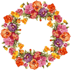 Pansy 2