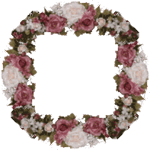 Pkrdrose