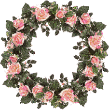 Pkrose 3