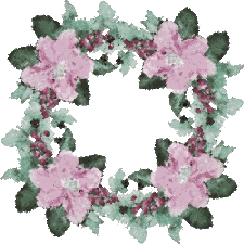 Pmagnolia