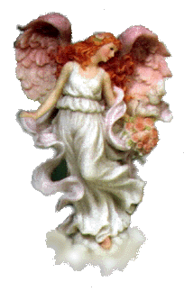 Angel Pnk Wing