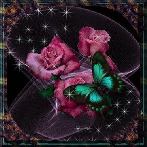 Butterfly Aqua Red Rose