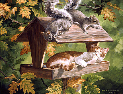 Cats Feeder Squirrls