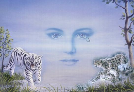 Cats Tiger Eyes