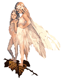 Fairy Leaf Kid
