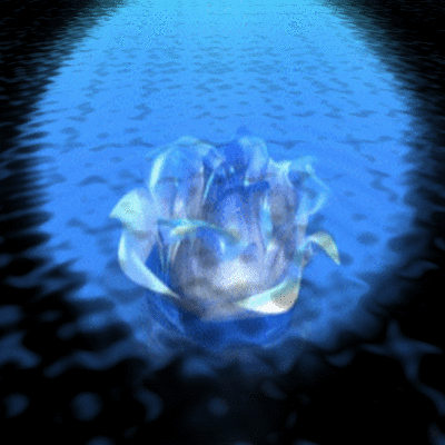 Rose Blue 01