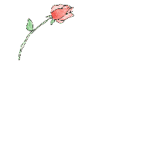 Sign Friendship Rose