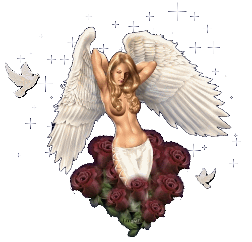 Angel Blonde Doves
