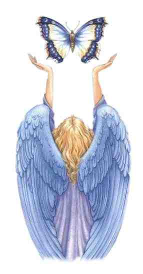Angel Catch Butterfly