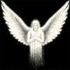 Angel White Wing Ani