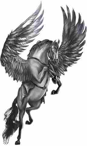 Animal BWUnicorn