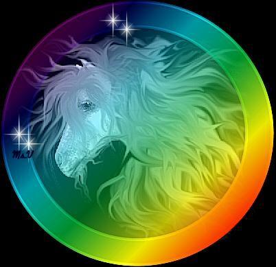 Animal Horse Rainbow 2