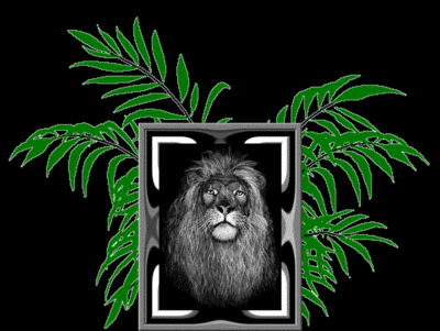 Animal Lion Fern