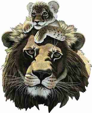 Animal Male Lion and Cub